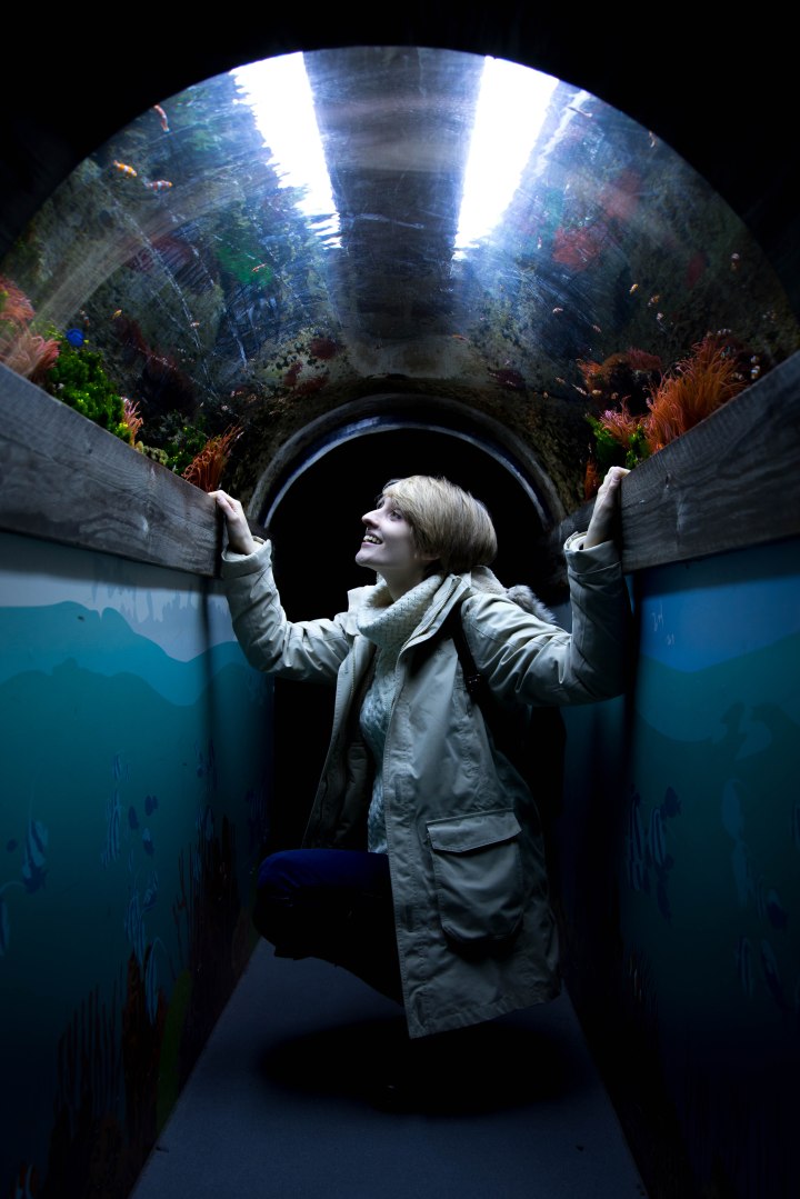 brighton-smaller-again-1