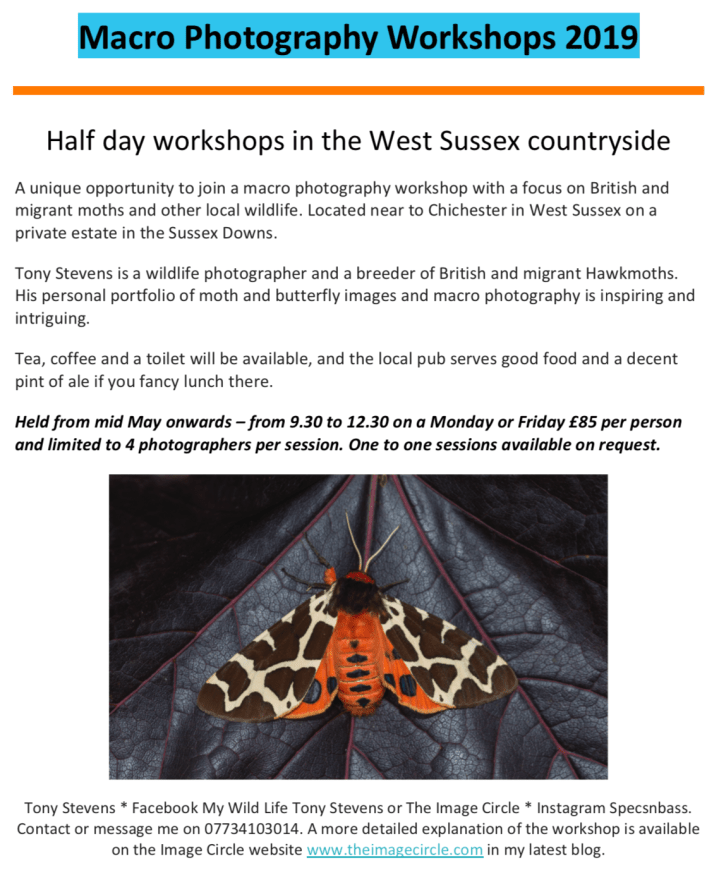 Screenshot 2019-03-29 at 08.28.09